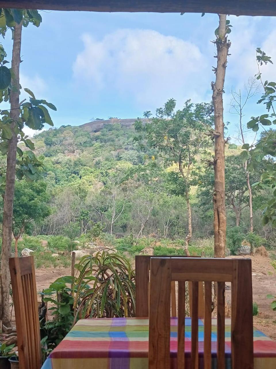 Apartamento Pidurangala View Treehouse Sigiriya Exterior foto