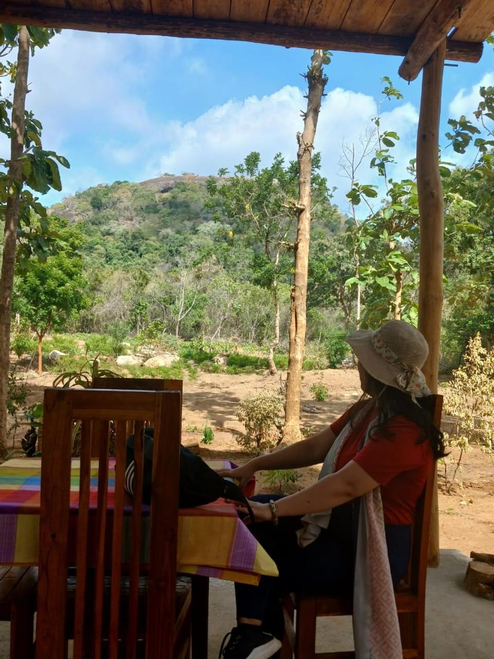Apartamento Pidurangala View Treehouse Sigiriya Exterior foto